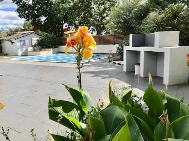 Maison Piscine 4 Ch Carcans Medoc Bassin Arcachon Eksteriør bilde