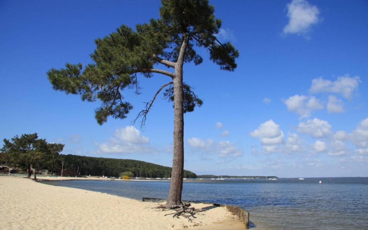 Maison Piscine 4 Ch Carcans Medoc Bassin Arcachon Eksteriør bilde