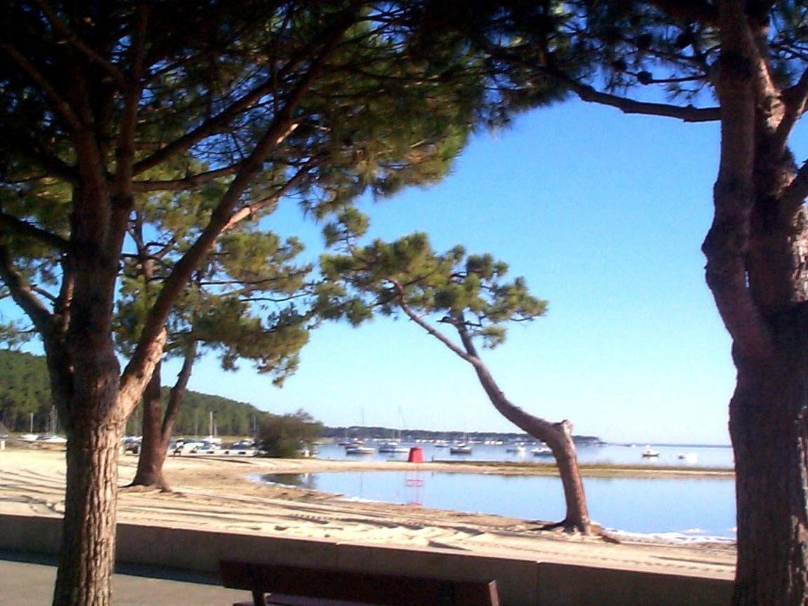 Maison Piscine 4 Ch Carcans Medoc Bassin Arcachon Eksteriør bilde