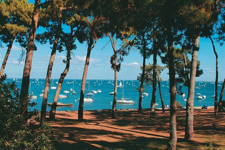 Maison Piscine 4 Ch Carcans Medoc Bassin Arcachon Eksteriør bilde