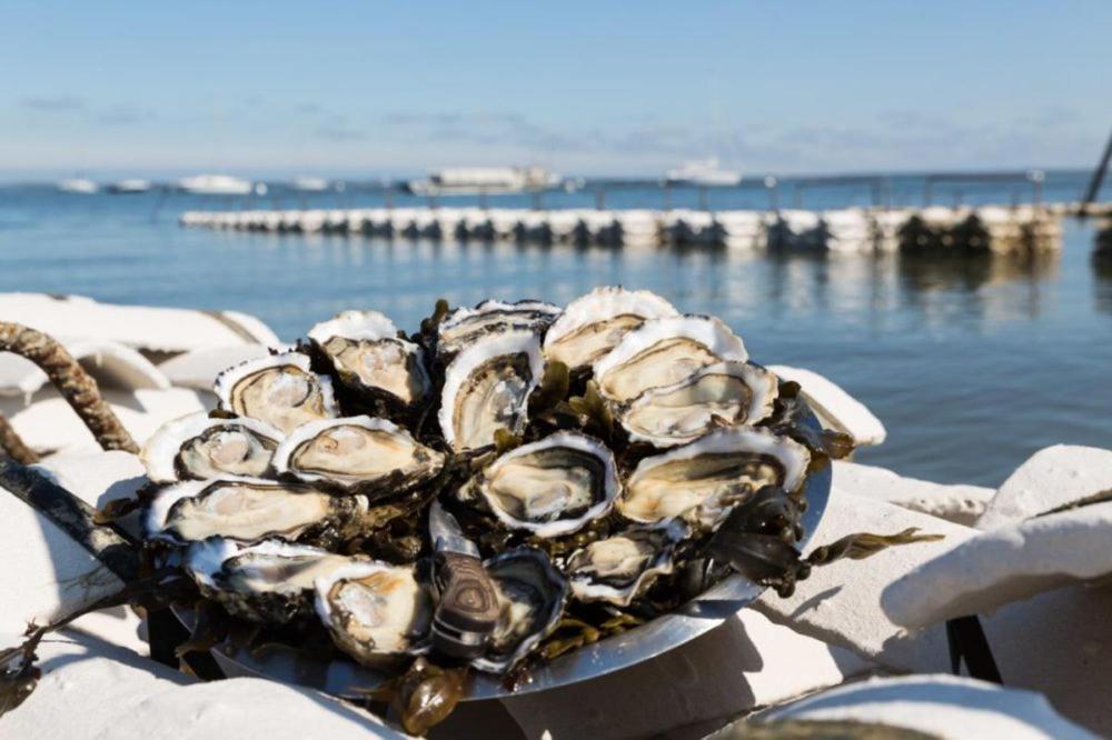 Maison Piscine 4 Ch Carcans Medoc Bassin Arcachon Eksteriør bilde